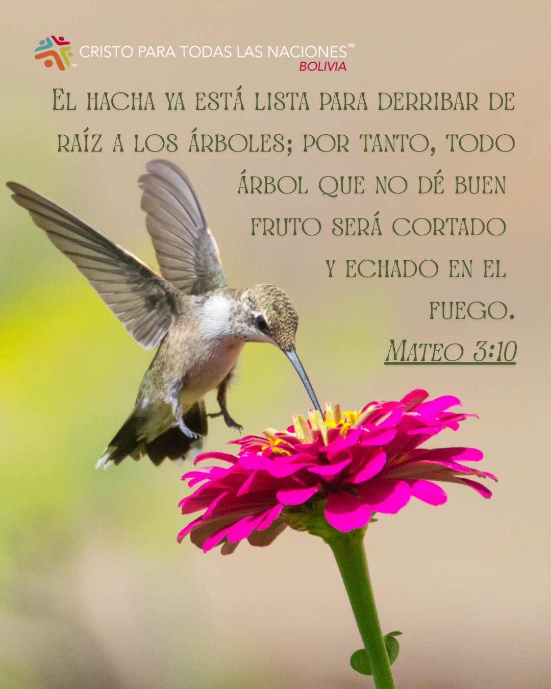 Devocional